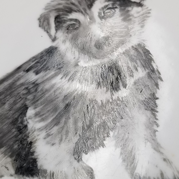 Porcelain? 8Inch Plate Signed Dog Sketch Portrait - Picture 14 of 16